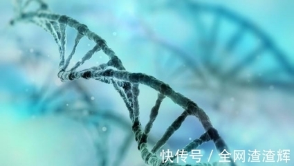 滅絕計(jì)劃還是生物革命？美國(guó)釋放10億基因改造蚊子的全球影響