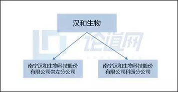 漢和生物 以生物技術(shù)創(chuàng)新驅(qū)動(dòng)水溶肥料市場新藍(lán)海